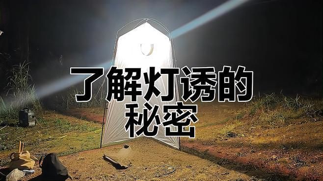 昆蟲誘捕燈【揭秘昆蟲誘捕燈】