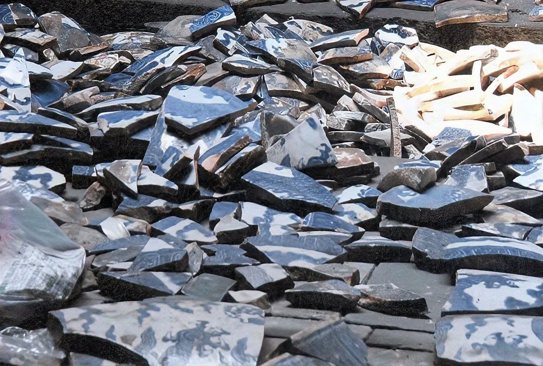 2024龍缸尺寸【2024年龍缸尺寸的詳細規格及其應用場景】