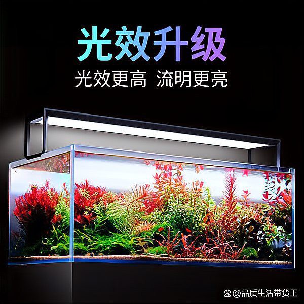 什么品牌水草燈質(zhì)量好【尼特利水草燈品牌水草燈品牌深度評(píng)測(cè)與選購(gòu)指南】