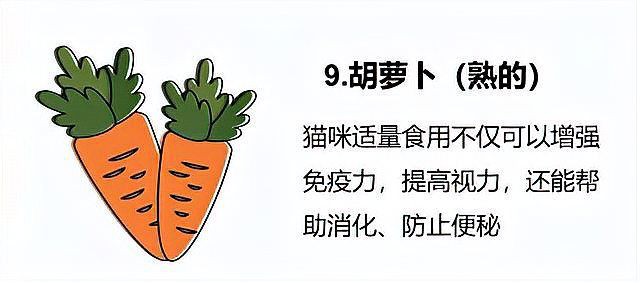 貓咪能吃我們生活中的哪些食物【貓咪能吃我們生活中的哪些食物，貓咪能吃的12種食物】
