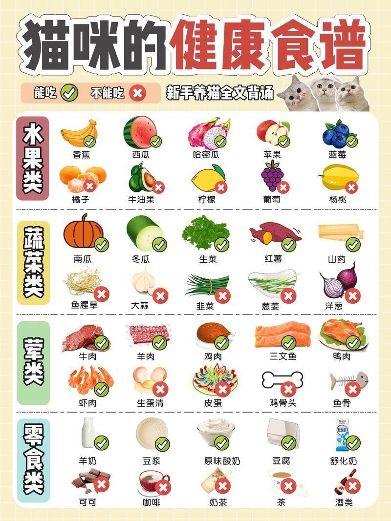 貓咪能吃我們生活中的哪些食物【貓咪能吃我們生活中的哪些食物，貓咪能吃的12種食物】