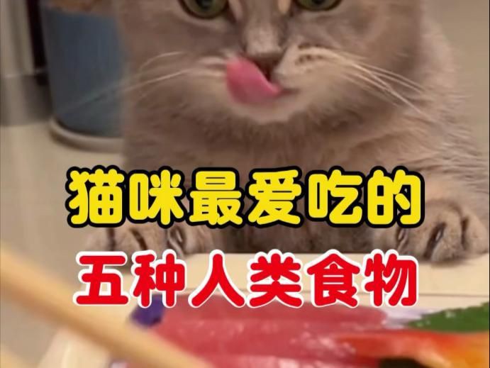 貓咪能吃我們生活中的哪些食物【貓咪能吃我們生活中的哪些食物，貓咪能吃的12種食物】