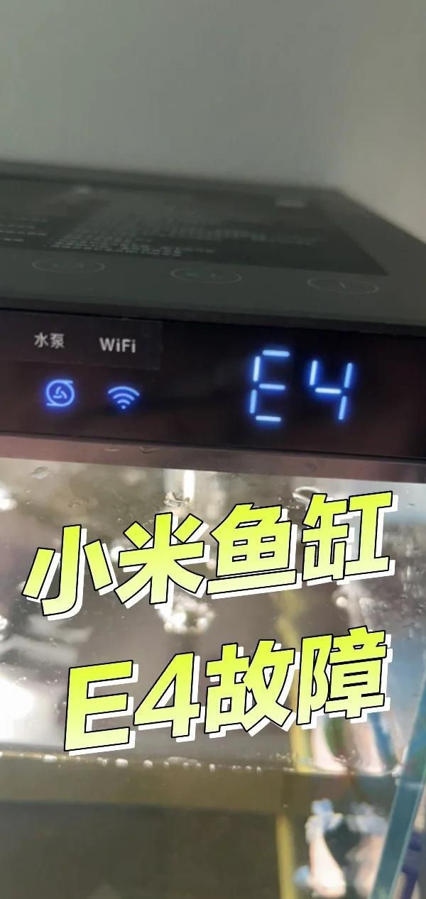家用魚缸維修【家用魚缸的維修方法】