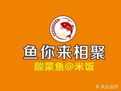 北侖龍魚店【北侖地區的龍魚餐飲店有哪些？】