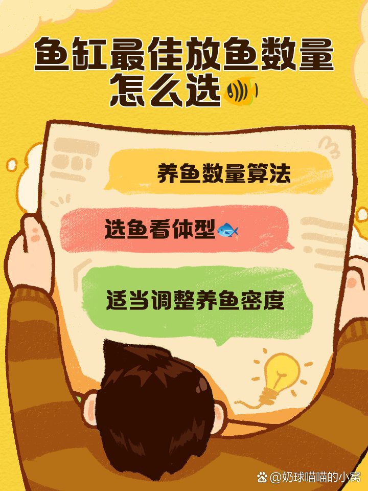 40缸養霸氣魚最佳數量【40缸養殖霸氣魚最佳數量】