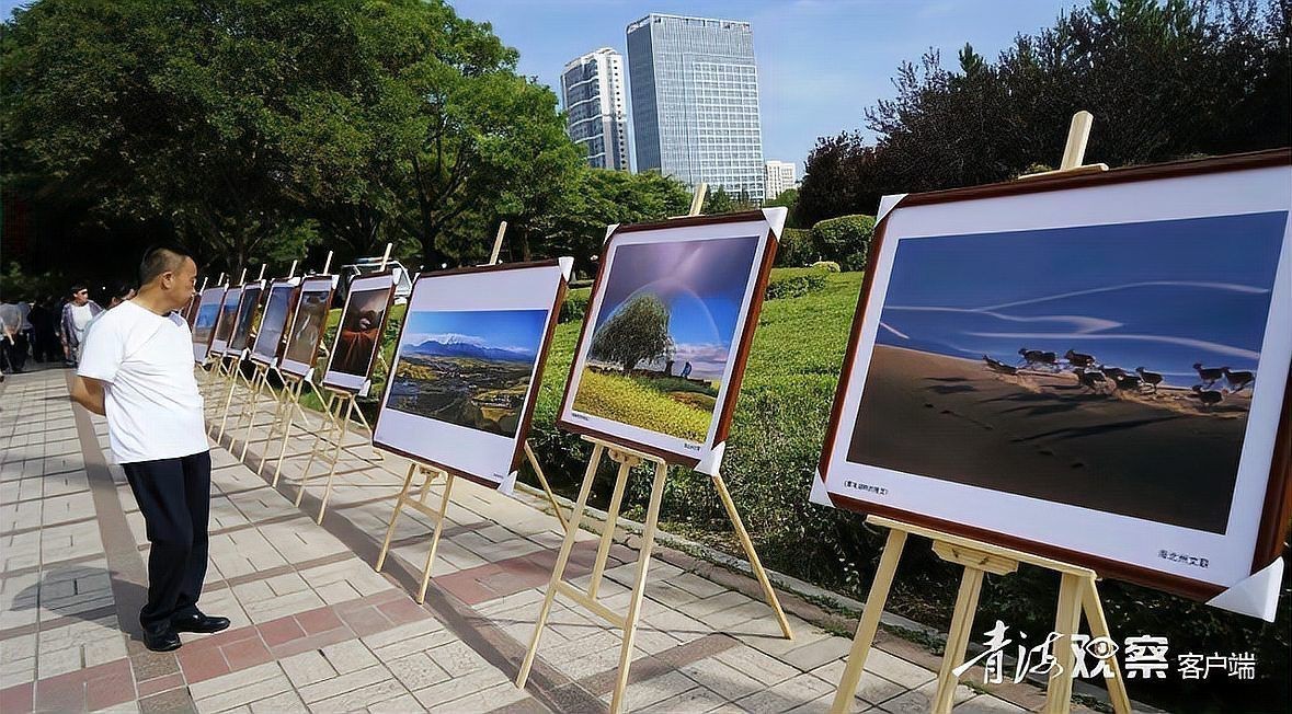 海北藏族自治州水族店【海北藏族自治州內水族店】