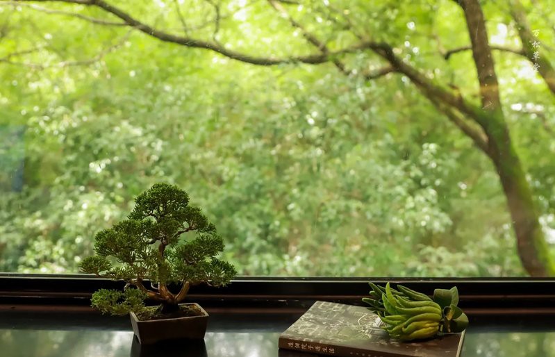 什么是赤玉土是怎么產生的【\