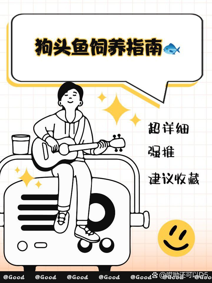 灰狗頭魚最忌三種東西【《灰狗頭魚最忌三種東西》灰狗頭魚最忌三種東西科學配比】