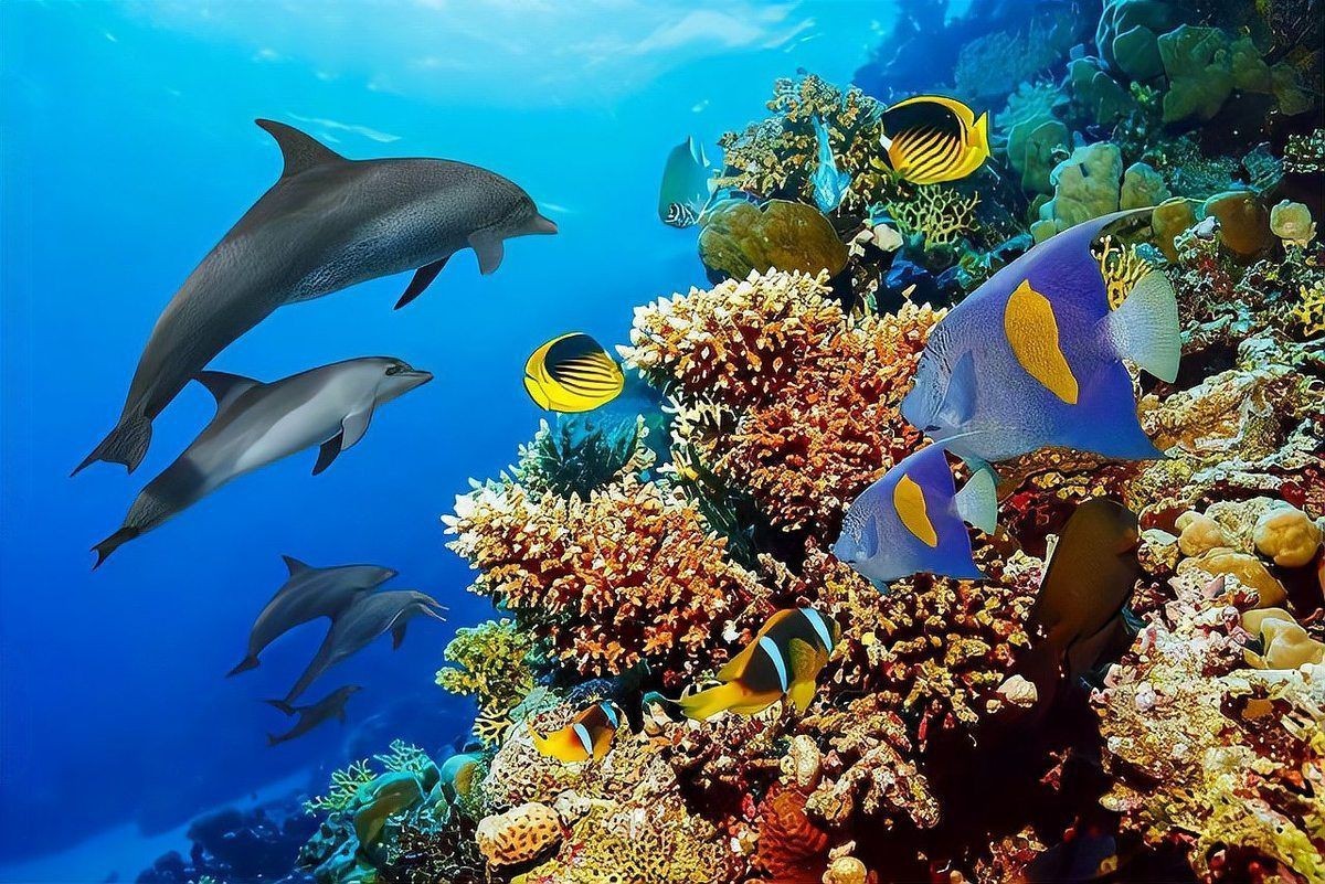 深海龍魚有哪些天敵?【深海龍魚混養指南:深海龍魚混養指南】 龍魚百科 第3張 深海龍魚有哪些天敵?【深海龍魚混養指南:深海龍魚混養指南】 深海龍魚有哪些天敵?【深海龍魚混養指南:深海龍魚混養指南】 龍魚百科 第3張