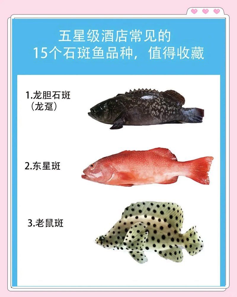 廣東常見30種小魚【廣東地區常見的30種小型魚類及其特點，你知道幾種】