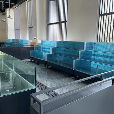 合川水族店【合川水族店分布廣泛且各具特色為當(dāng)?shù)鼐用窦皭酆谜咛峁┝素S富的選擇】