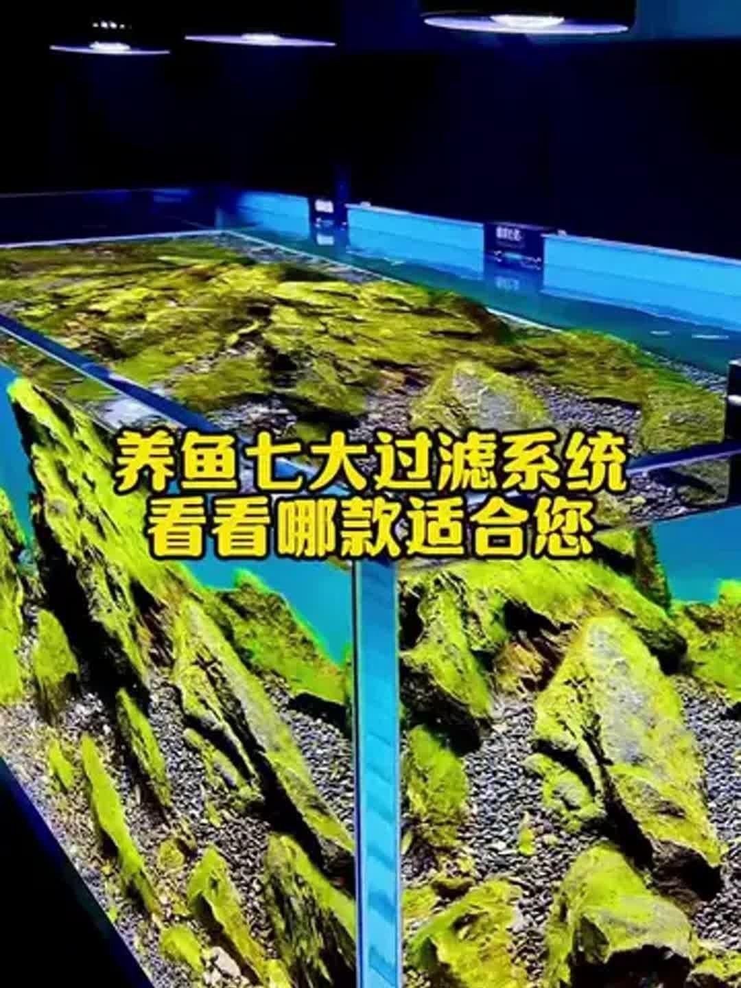 水族箱過濾系統(tǒng)選擇【你的魚缸過濾系統(tǒng)選哪種一分鐘了解常見類型】
