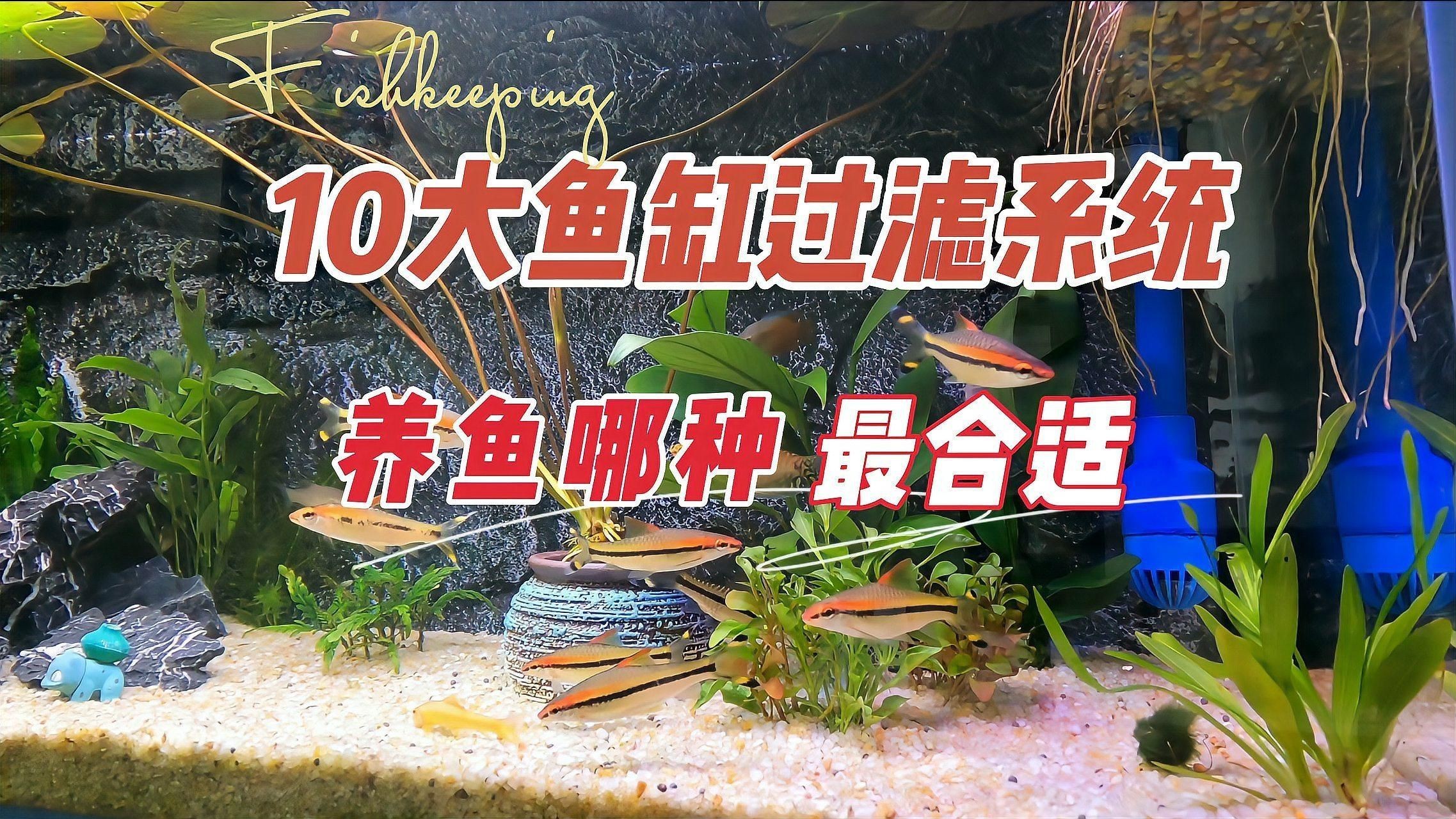 水族箱過濾系統(tǒng)選擇【你的魚缸過濾系統(tǒng)選哪種一分鐘了解常見類型】