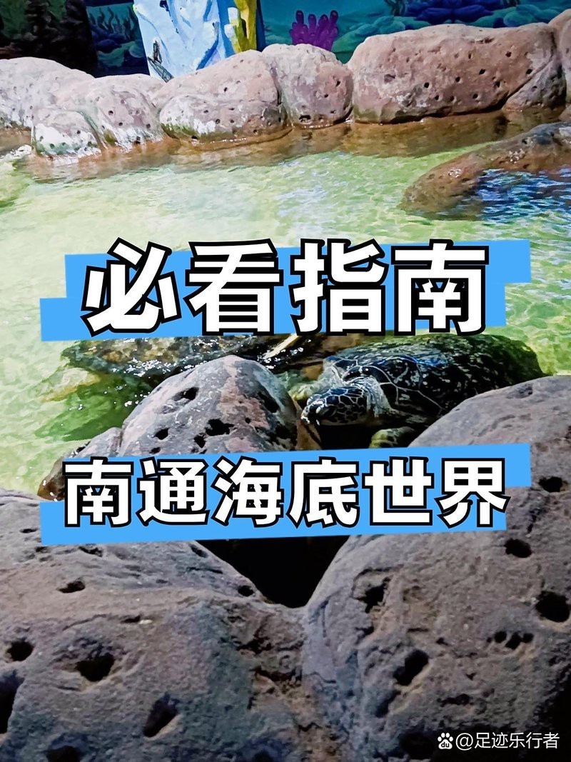 南通水族店【南通水族店有哪些特色生物】
