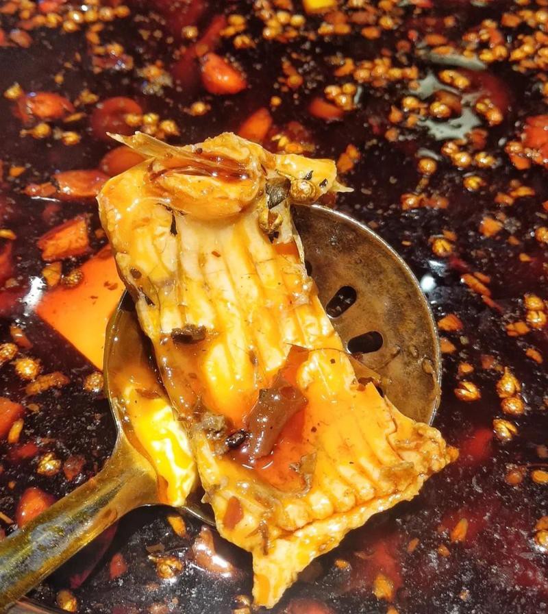 四川龍魚(yú)店【開(kāi)個(gè)四川龍魚(yú)店需要多少錢】