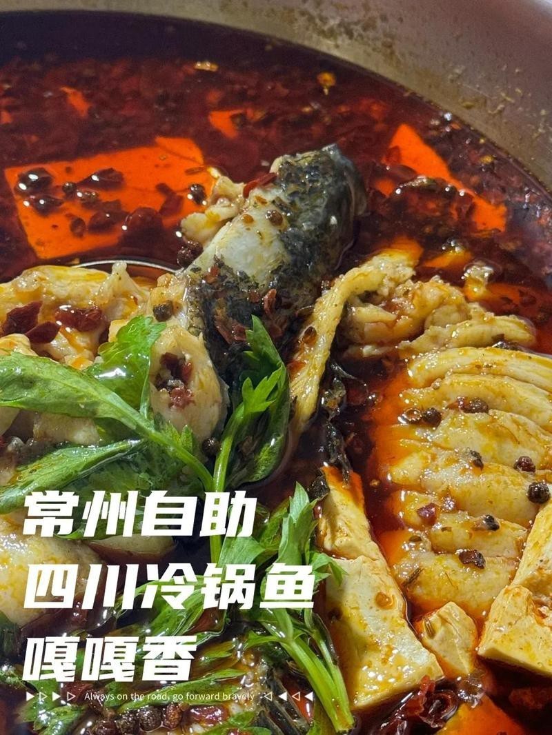 四川龍魚(yú)店【開(kāi)個(gè)四川龍魚(yú)店需要多少錢】