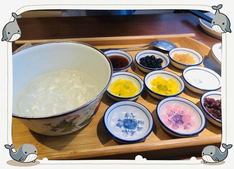 四川龍魚(yú)店【開(kāi)個(gè)四川龍魚(yú)店需要多少錢】