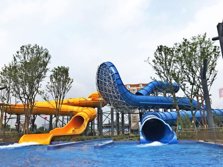 安縣水族店【安縣有哪些特色水族店？】