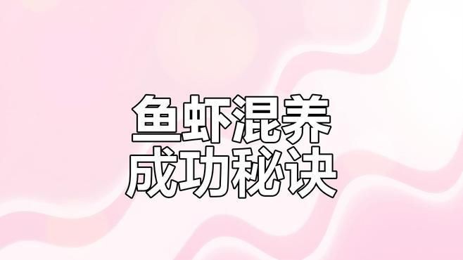 有哪些混養案例可以參考【華商網魚蝦混養成功經驗分享[需手動填充]魚蝦混養成功經驗分享】