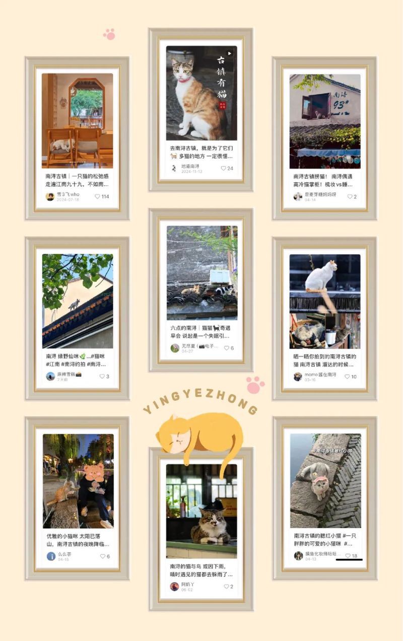 南潯龍魚店【南潯地區(qū)的“龍魚店”是一個融合了特色水產(chǎn)養(yǎng)殖與觀賞魚文化的商業(yè)形態(tài)】