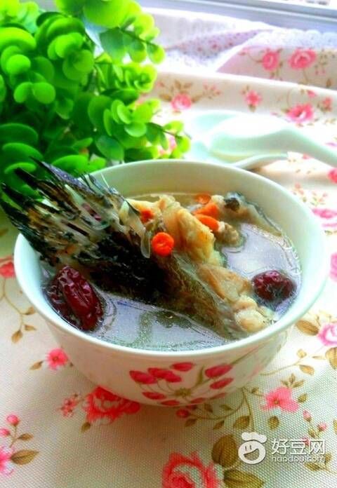 石斑魚龍躉怎么念【“龍躉”的正確讀音是什么？】