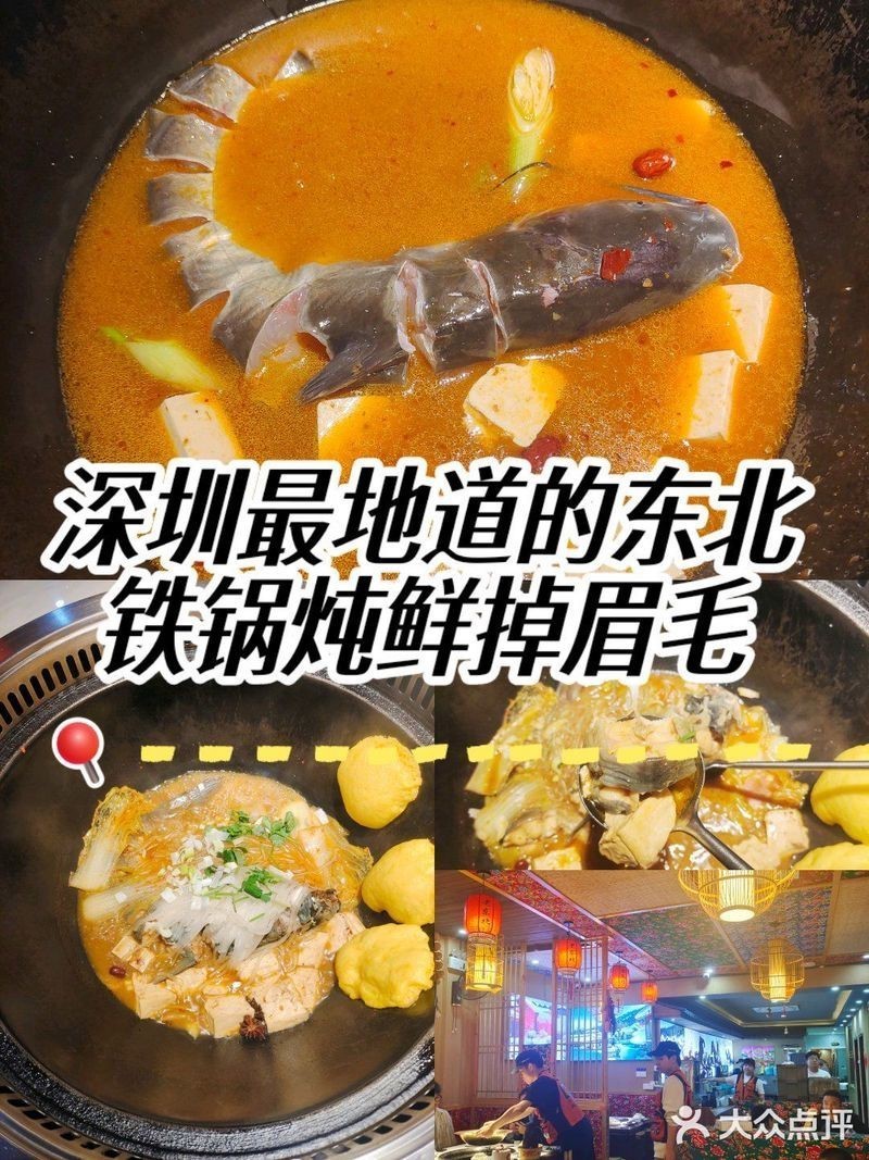 大化龍魚店【大化龍魚店在哪里】