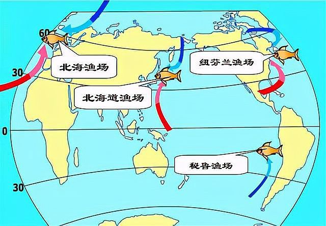 世界四大漁場分布圖【世界四大漁場】 世界四大漁場分布圖【世界四大漁場】 龍魚論壇 第7張