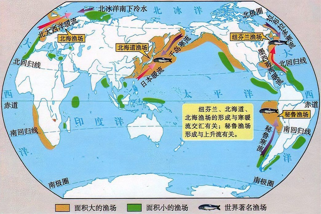世界四大漁場分布圖【世界四大漁場】 世界四大漁場分布圖【世界四大漁場】 龍魚論壇 第4張