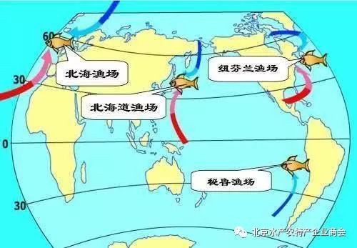 世界四大漁場分布圖【世界四大漁場】