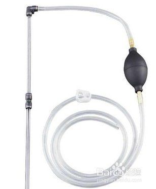 泰州魚缸維護【泰州地區(qū)的魚缸維護需注意多方面細節(jié)以確保魚類健康與水質(zhì)穩(wěn)定】