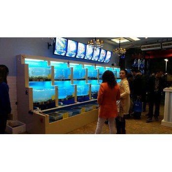 泰州魚缸維護【泰州地區(qū)的魚缸維護需注意多方面細節(jié)以確保魚類健康與水質(zhì)穩(wěn)定】