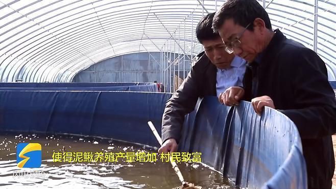 泥鰍養殖場【稻田黃鱔泥鰍養殖場打造生態農業新模式打造生態農業新模式】