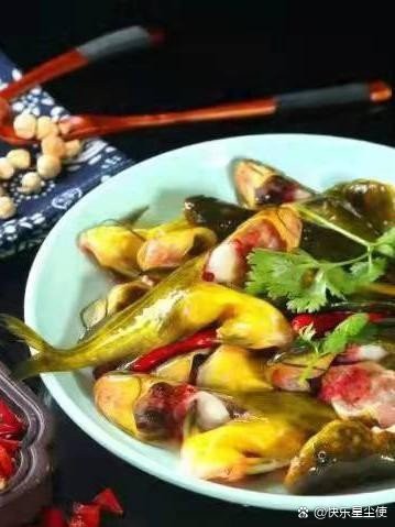 安居龍魚店【安居龍魚店有哪些品種能提供更多龍魚店鋪信息嗎】