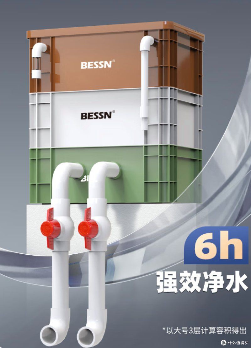 招財魚混養需要哪些過濾設備【招財魚混養時所需的過濾設備】