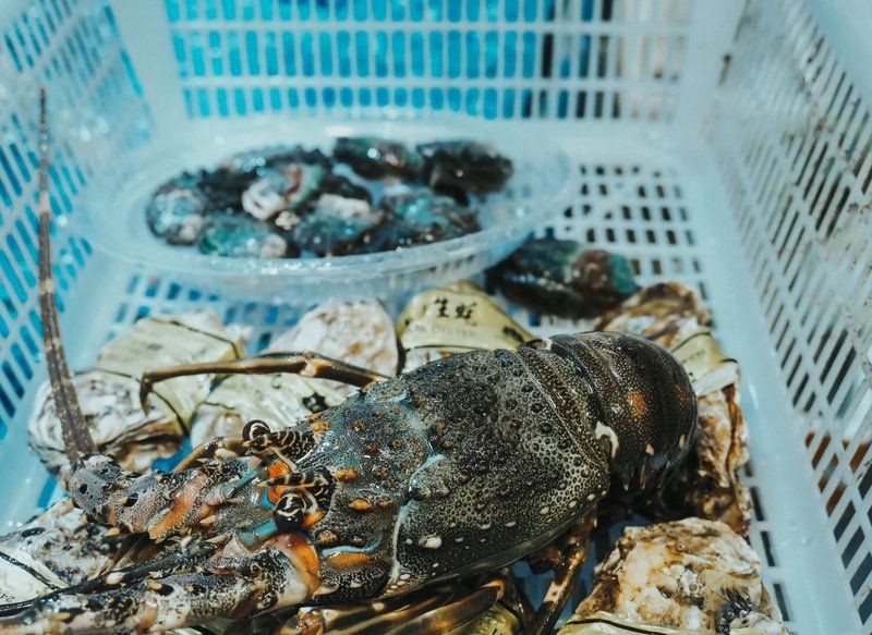 貴陽水族批發市場【新華網貴州頻道，貴陽南明區海鮮市場探秘】