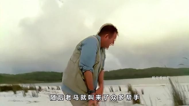 恐龍鱷魚【“恐龍鱷魚”并非傳統(tǒng)意義上的爬行動物組合】