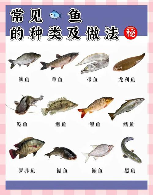 100種魚圖片【100種魚圖片《100種魚圖片》匯聚了豐富多樣的魚類影像資料】