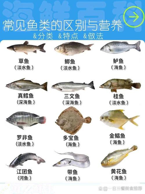 100種魚圖片【100種魚圖片《100種魚圖片》匯聚了豐富多樣的魚類影像資料】