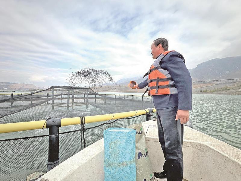 化隆水族店【化隆縣巴燕鎮本草缸木水族館】