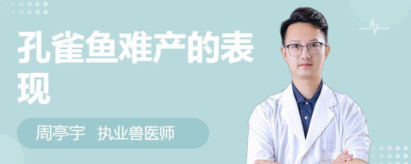 母孔雀魚亂竄像瘋了一樣【孔雀魚為什么總是攻擊公魚，這正常嗎】