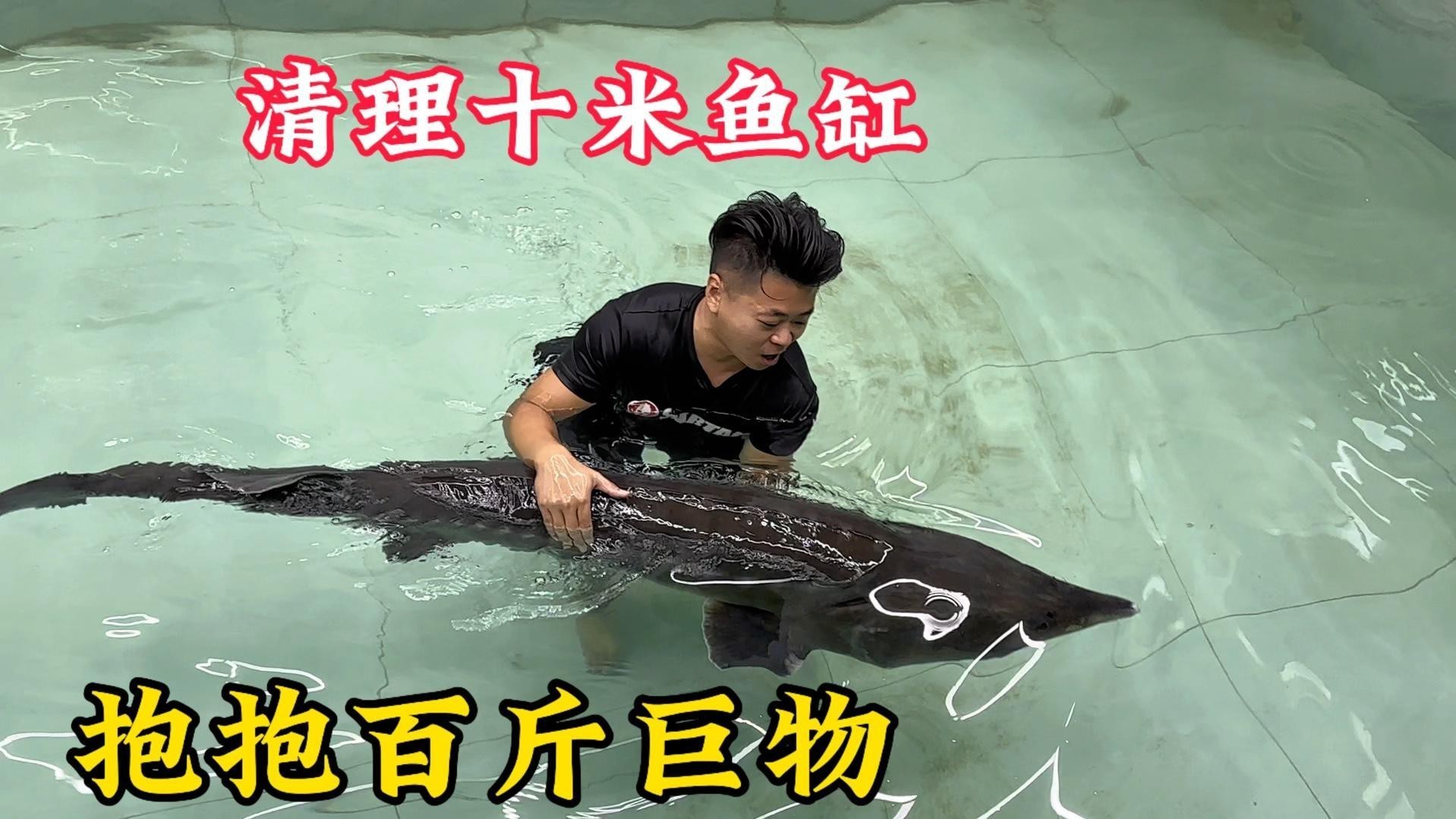 愛養魚的龍龍全部視頻【“愛養魚的龍龍全部視頻”聚焦于博主龍龍圍繞養魚展開的一系列精彩內容】