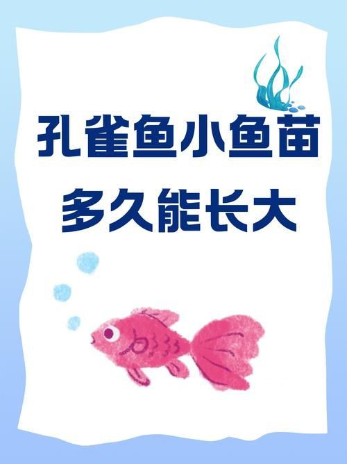 孔雀魚1～3個(gè)月成長圖【“孔雀魚1～3個(gè)月成長圖”系統(tǒng)記錄了該物種早期發(fā)育的關(guān)鍵階段】 孔雀魚1～3個(gè)月成長圖【“孔雀魚1～3個(gè)月成長圖”系統(tǒng)記錄了該物種早期發(fā)育的關(guān)鍵階段】 龍魚百科 第11張