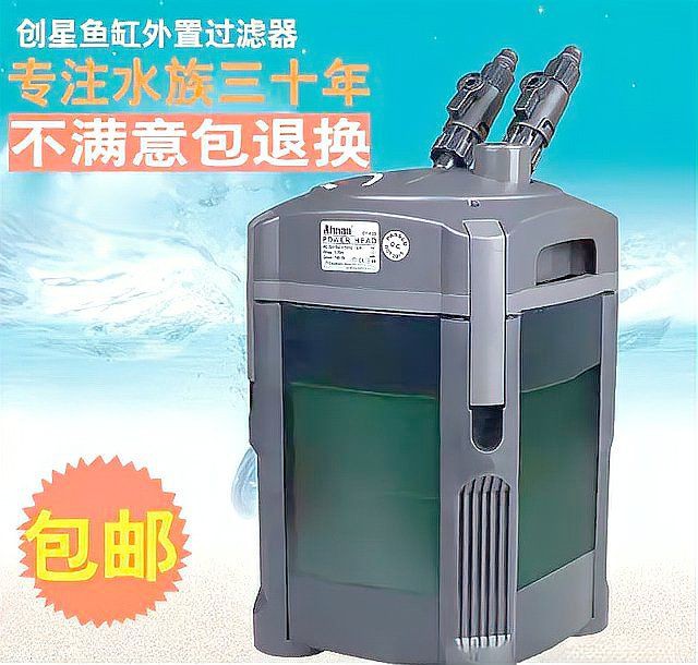 馬來西亞魟魚最忌三種東西【飼養馬來西亞魟魚有哪些禁忌？】