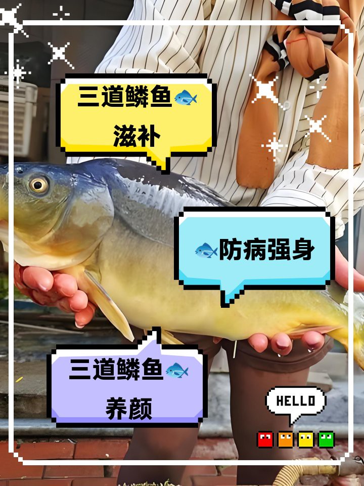 三道鱗內(nèi)臟哪些能吃【三道鱗內(nèi)臟的食用指南與營養(yǎng)價值全解析】