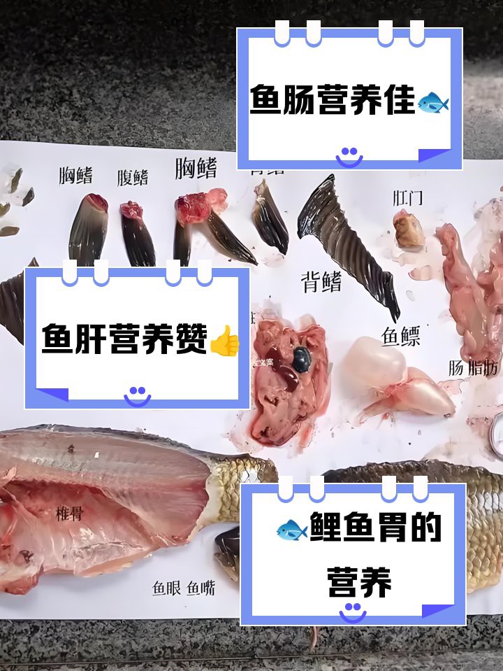 三道鱗內(nèi)臟哪些能吃【三道鱗內(nèi)臟的食用指南與營養(yǎng)價值全解析】
