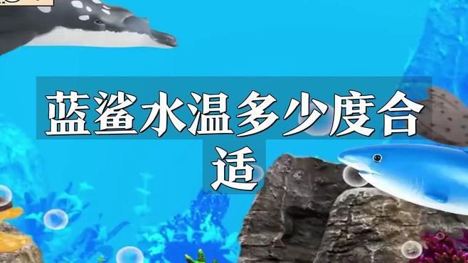 養(yǎng)藍(lán)鯊的10大忠告【《養(yǎng)藍(lán)鯊的10大忠告》】