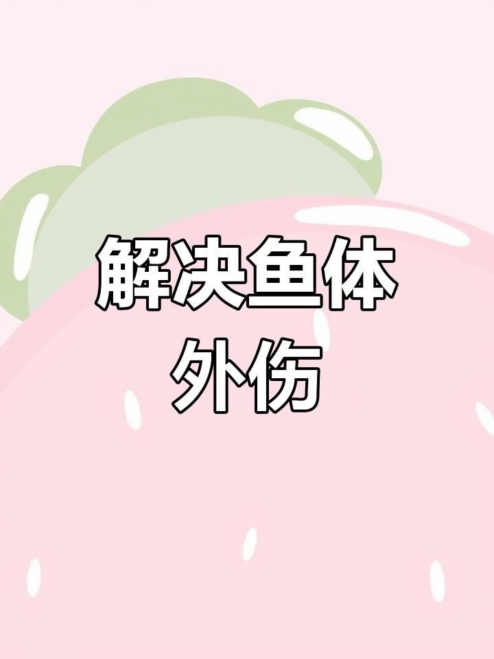 有哪些藥物可以有效治療龍魚傷口？【養魚老道雷龍魚爛嘴用什么藥保健達人魚體外傷處理全攻略】