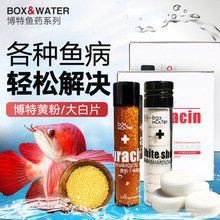 有哪些品牌龍魚蒙眼藥推薦？【龍魚常見疾病之蒙眼】
