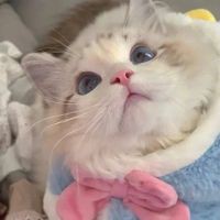 魚缸有菌怎么徹底清理【魚缸有菌怎么清理】