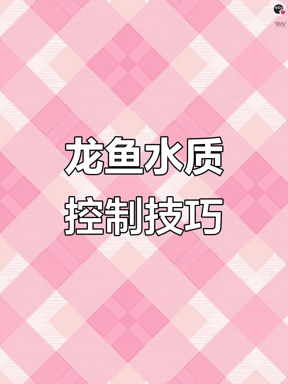 星點龍魚的最佳飼養環境是怎樣的？【星點龍魚飼養水質管理全攻略:如何換水避免水溫波動】